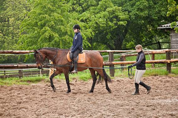 Therapeutisches_Reiten_1.jpg