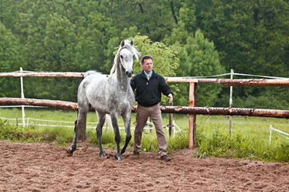 Wasseem_PeterBaumann.jpg