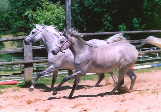 image012